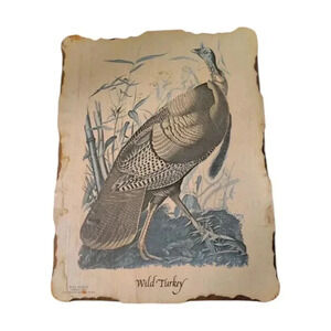 Vintage Wild Turkey Audubon Print On Wood From The National Audubon Scociety